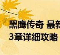 美记:杨瀚森比赛感觉和约基奇很像 空间感知能力好